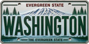 - Washington — License Plate Replica
